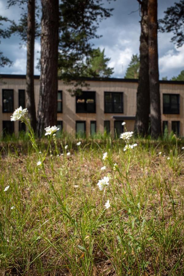 Apartament 11 Pine View Ķesterciems Zewnętrze zdjęcie