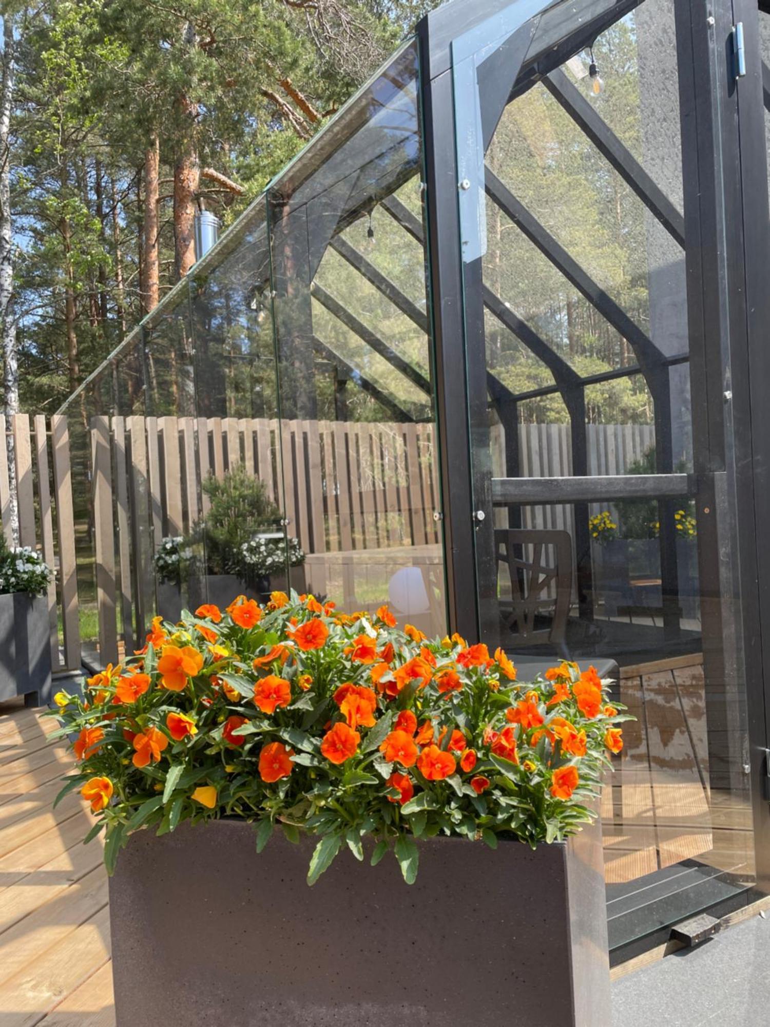 Apartament 11 Pine View Ķesterciems Zewnętrze zdjęcie